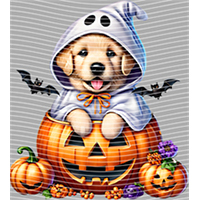 Halloween-WS 1766